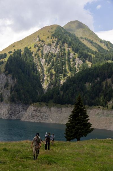 Clicca per vedere l'immagine alla massima grandezza